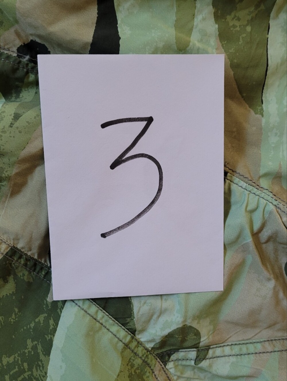 Free People Stadium Pants In Camo - Picture 9 of 9